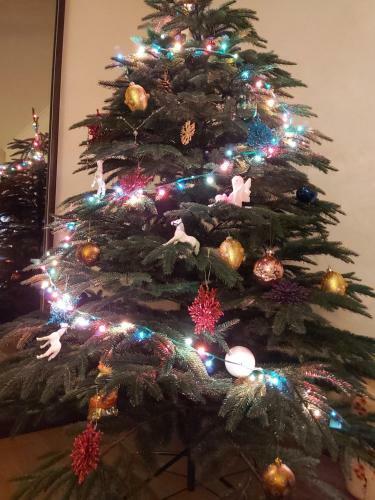 Lux Apartment, Liko Grad