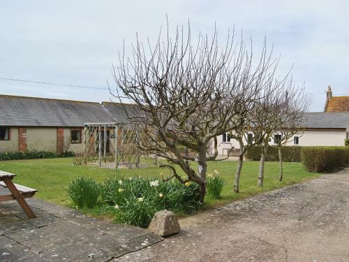 Appletree