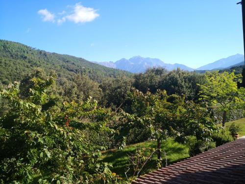 Bed & Breakfast L'ogliastru