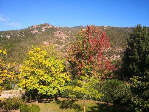Bed & Breakfast L'ogliastru
