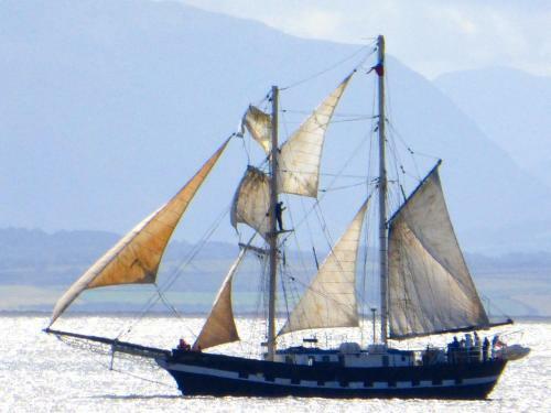 Beachcombers