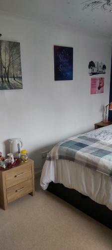 Homely Bed And Breakfast