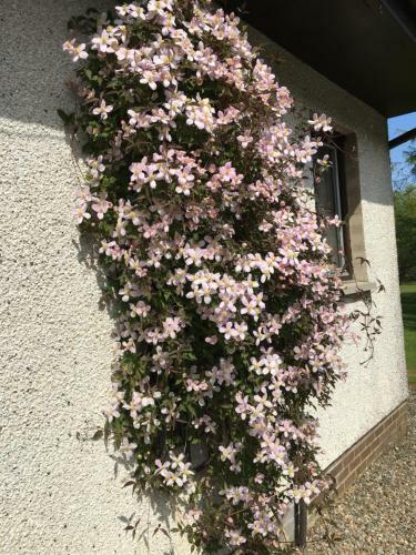 Heronlea Cottage