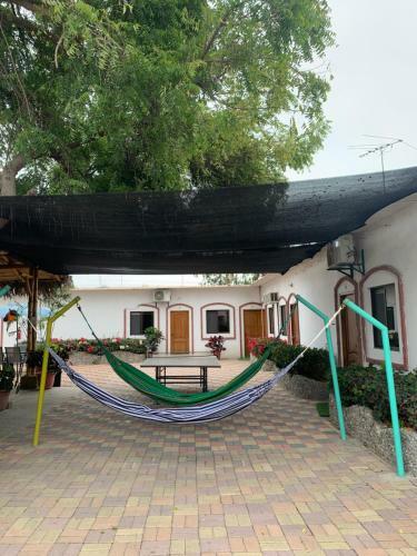 Hostal Casa Blue Tortuga