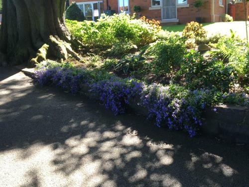Crossways Self-catering Cottage - Self Contained