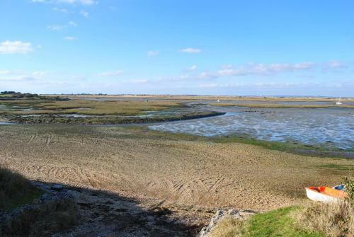 The Gulls - Wittering