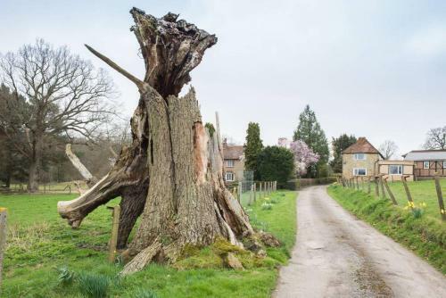 Ockhams Farm Guest House