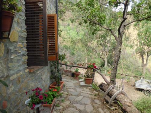 Villa Casa Batia