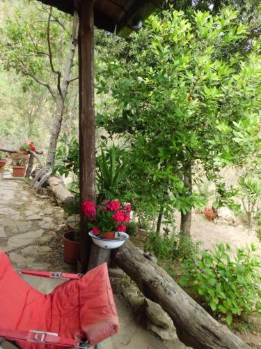 Villa Casa Batia
