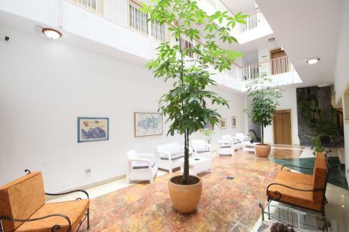 Apartamentos Isla De Oro