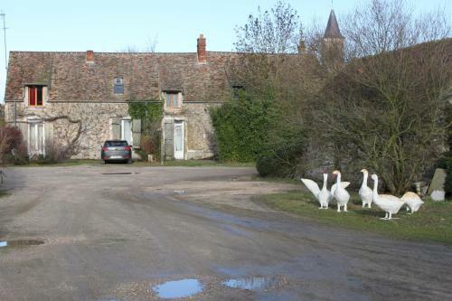 Bed & Breakfast A La Ferme De La Joie - Chambres D'h�tes