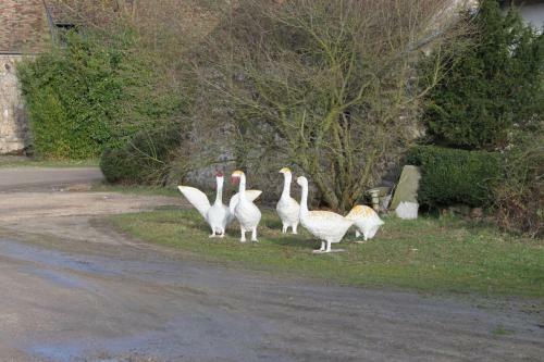 Bed & Breakfast A La Ferme De La Joie - Chambres D'h�tes