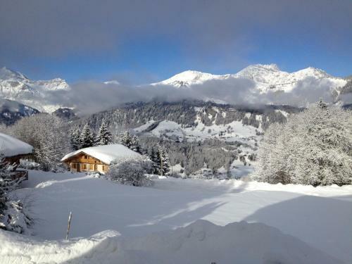 Hotel Le Caprice Des Neiges H�tels-chalets De Tradition