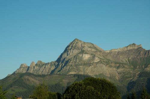 Hotel Le Caprice Des Neiges H�tels-chalets De Tradition