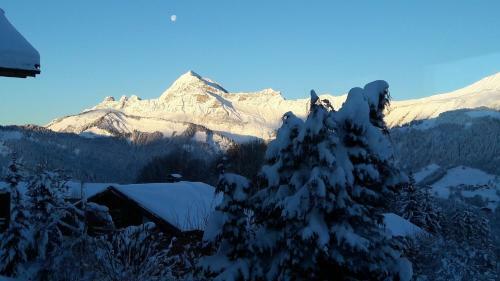 Hotel Le Caprice Des Neiges H�tels-chalets De Tradition
