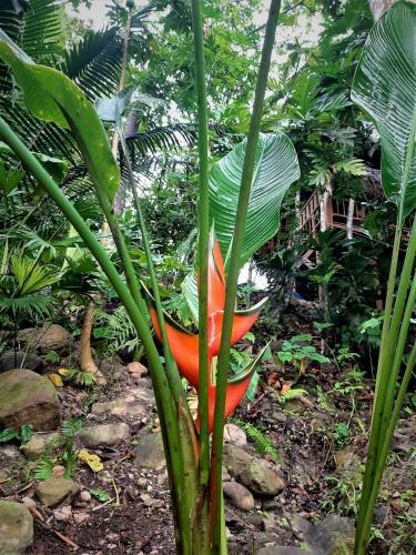 Puqio Ecolodge