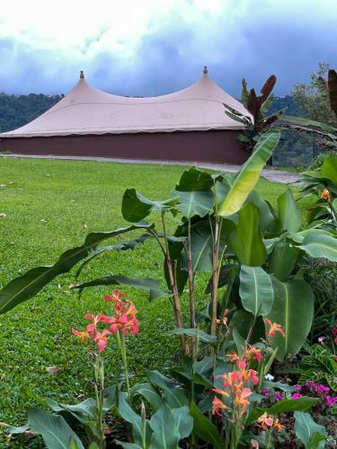 Casa Maar -tented Camp