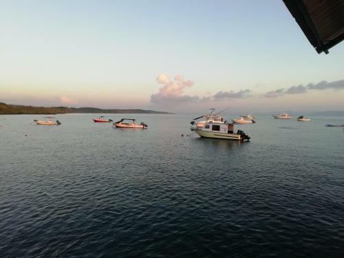Hostal Sur� House Corcovado