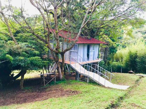 Caba�a Treehouse Mountain View