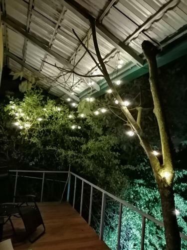 Caba�a Treehouse Mountain View