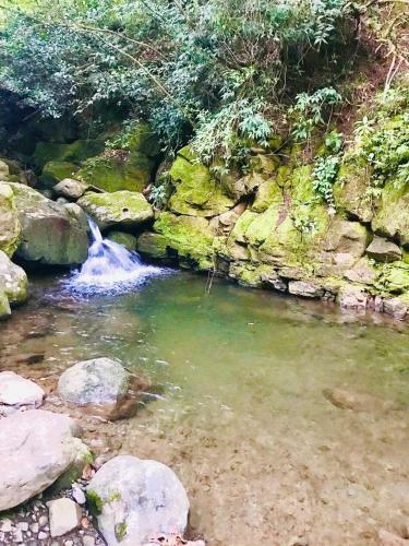 Caba�a Treehouse Mountain View