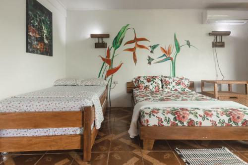 Bed & Breakfast Hospedaje Santuario de Ranas Valle Azul