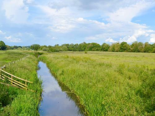Watermeadow