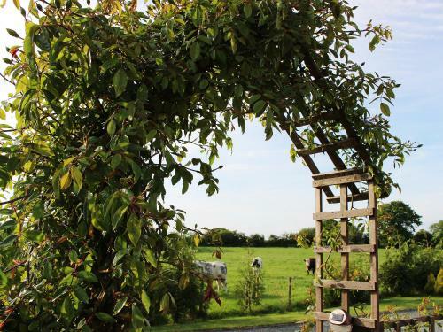 Rose Barn