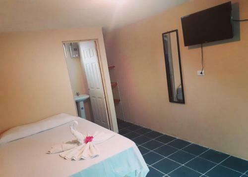 Hostal Apartamentos Morpho Cr