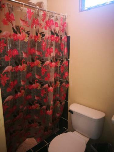 Hostal Apartamentos Morpho Cr