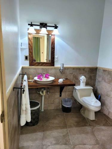 Villa Casa Castillo, 3 Or 6 Bdr, Manuel Antonio, Ocean View