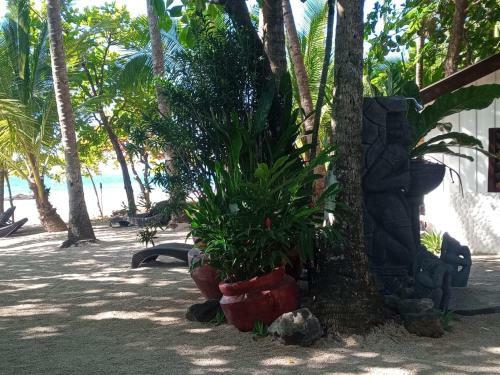 Bed & Breakfast Macao Beach