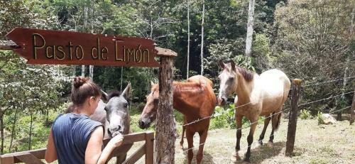 Hotel Rambala Jungle Lodge Hike-in All Inclusive