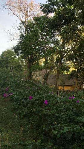Hotel Refugio Cariguana