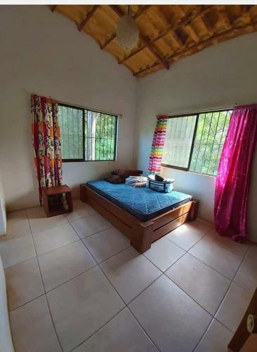 Casa Snapper