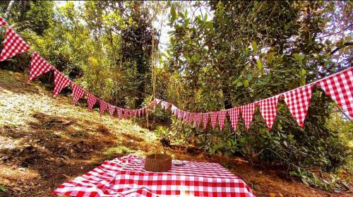 Cielito Verde Glamping