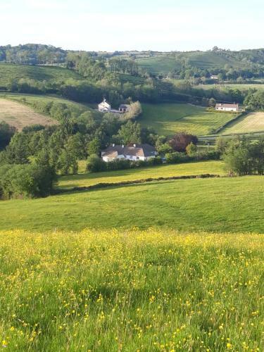 Navar House Bed & Breakfast