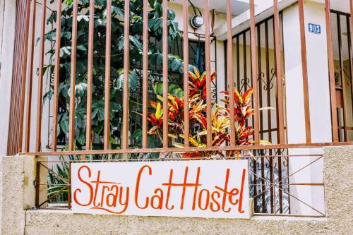 Stray Cat Hostel