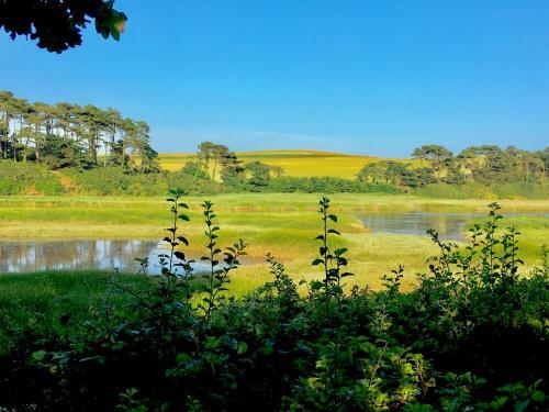 Seven Acre Corner B&B