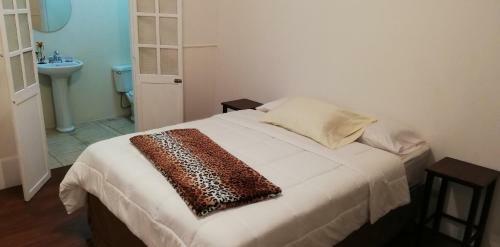Posada Casa Mayela Guest House