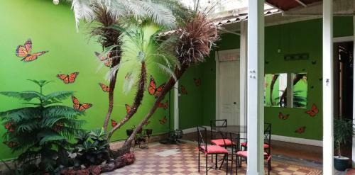 Posada Casa Mayela Guest House