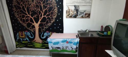 Zorobar� Casa