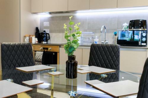 Opp Apartments Lh1-2 - High End City Centre Properties!