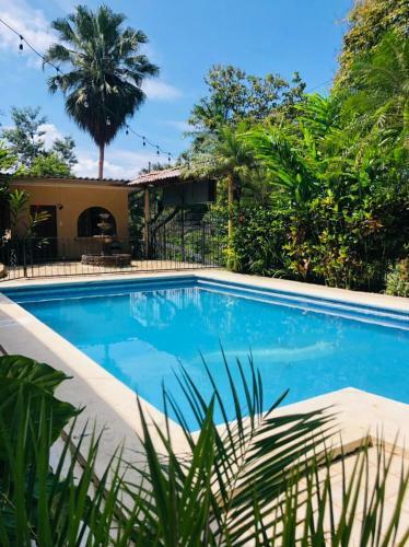 Bed & Breakfast Hotel Colibri