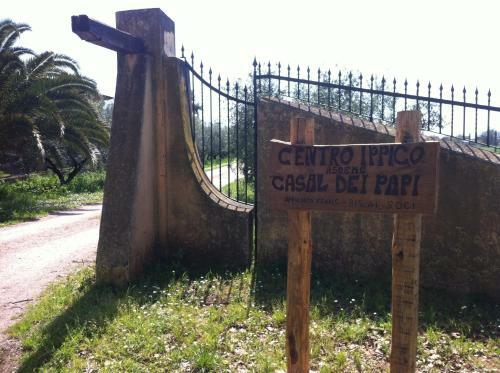 Bed & Breakfast Casal Dei Papi