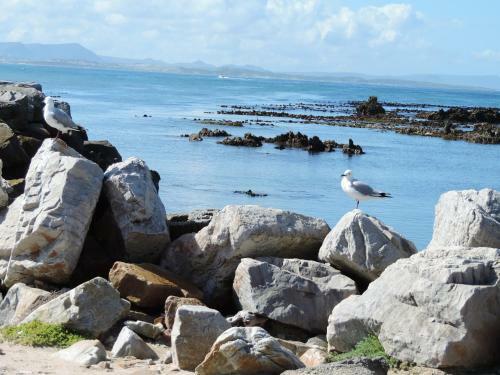 Bed & Breakfast Wave Dancer