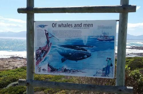 Bed & Breakfast Wave Dancer