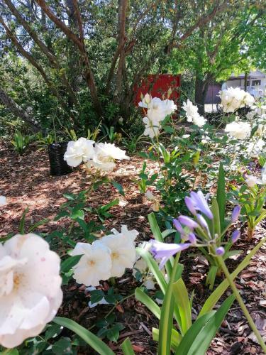Apartamento The Red Gate Suite For Garden Route Tranquility