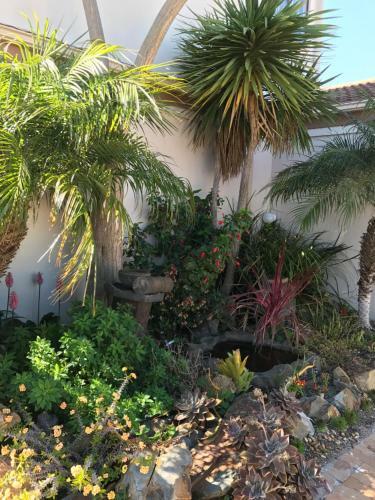 Hostal Bay Breeze Guesthouse