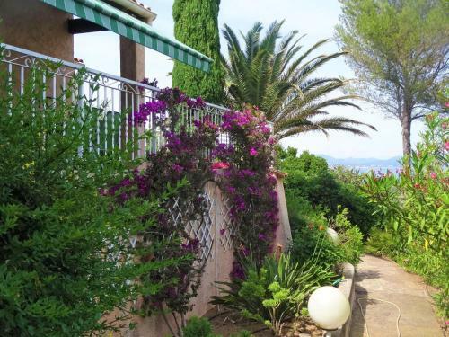 Villa Carpe Diem
